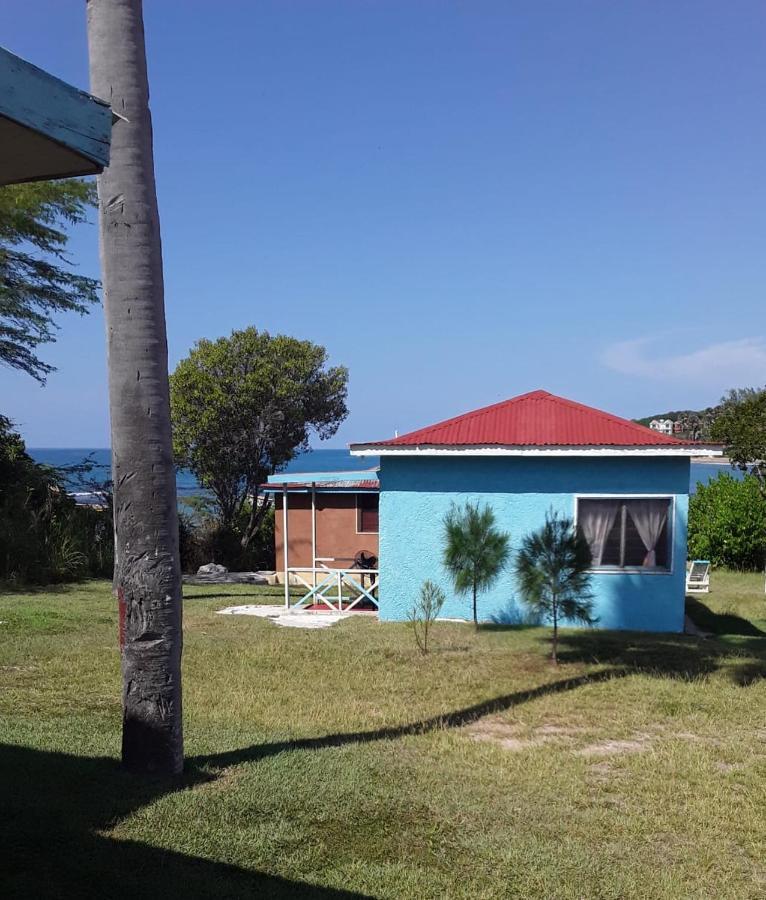 Waikiki Guest House Treasure Beach Exterior foto