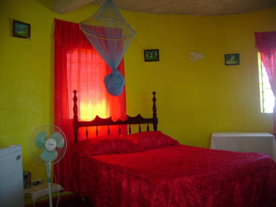Waikiki Guest House Treasure Beach Cameră foto